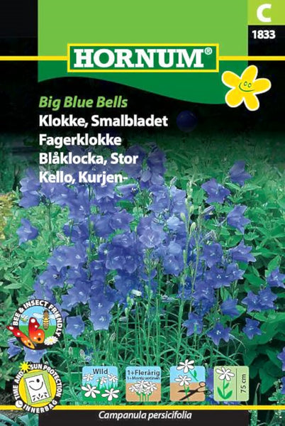 Fagerklokke (Blåklokke), "Big Blue Bells"