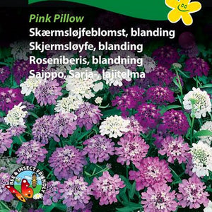Skjermsløyfe, blanding "Pink Pillow"