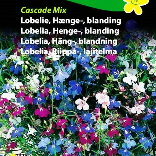 Lobelia, Hengellobelia, fargeblanding "Cascade Mix"