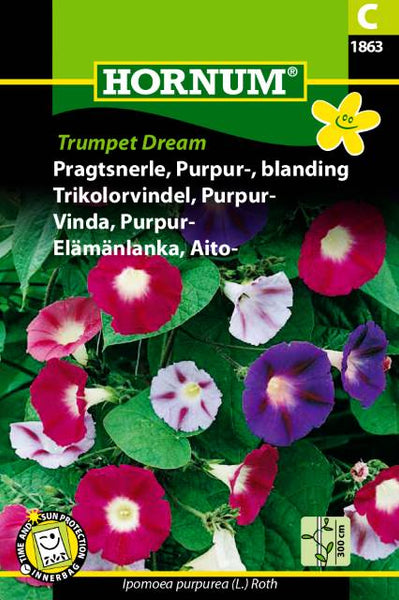 Ipomoea, Praktvindel  "Trumpet Dream" Fargemix