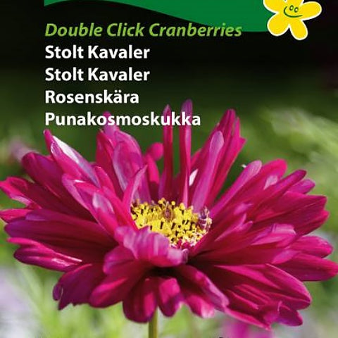Pyntekorg 'Double Click Cranberries'