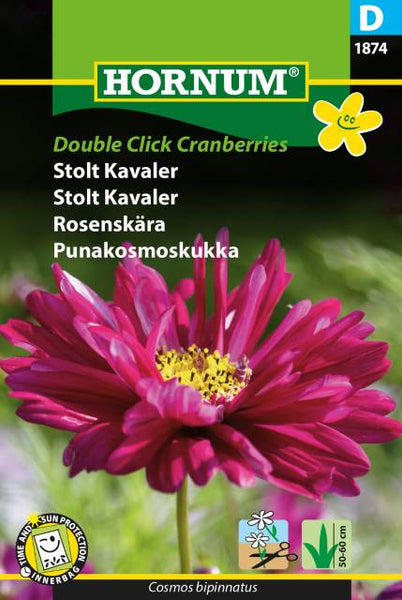 Pyntekorg 'Double Click Cranberries'