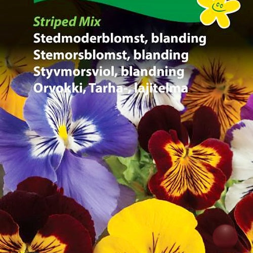 Stemorsblomst, blanding "Striped Mix"