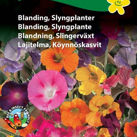 Blomsterblanding, Slyngplanter,  Fargemix
