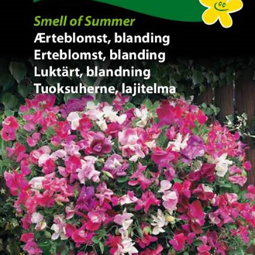 Blomsterert "Smell of Summer", fargemix