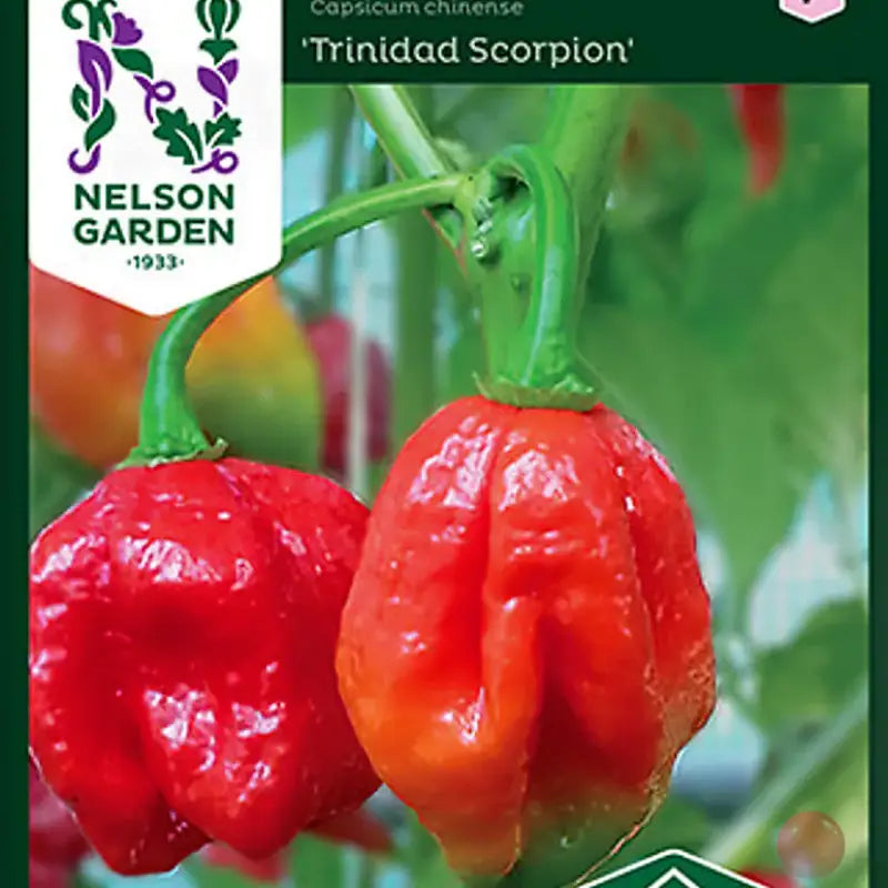 Trinidad  Scorpion